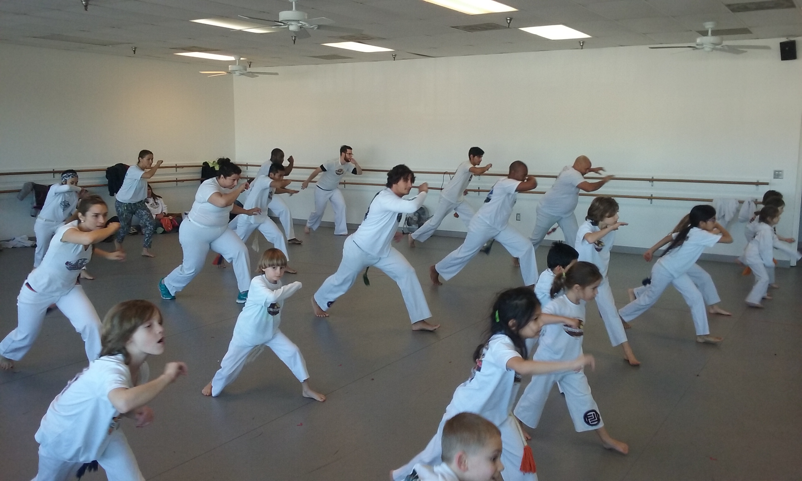 Alexandria City Public Schools – Capoeira-A Cultural Exchange, 2016 Grantee