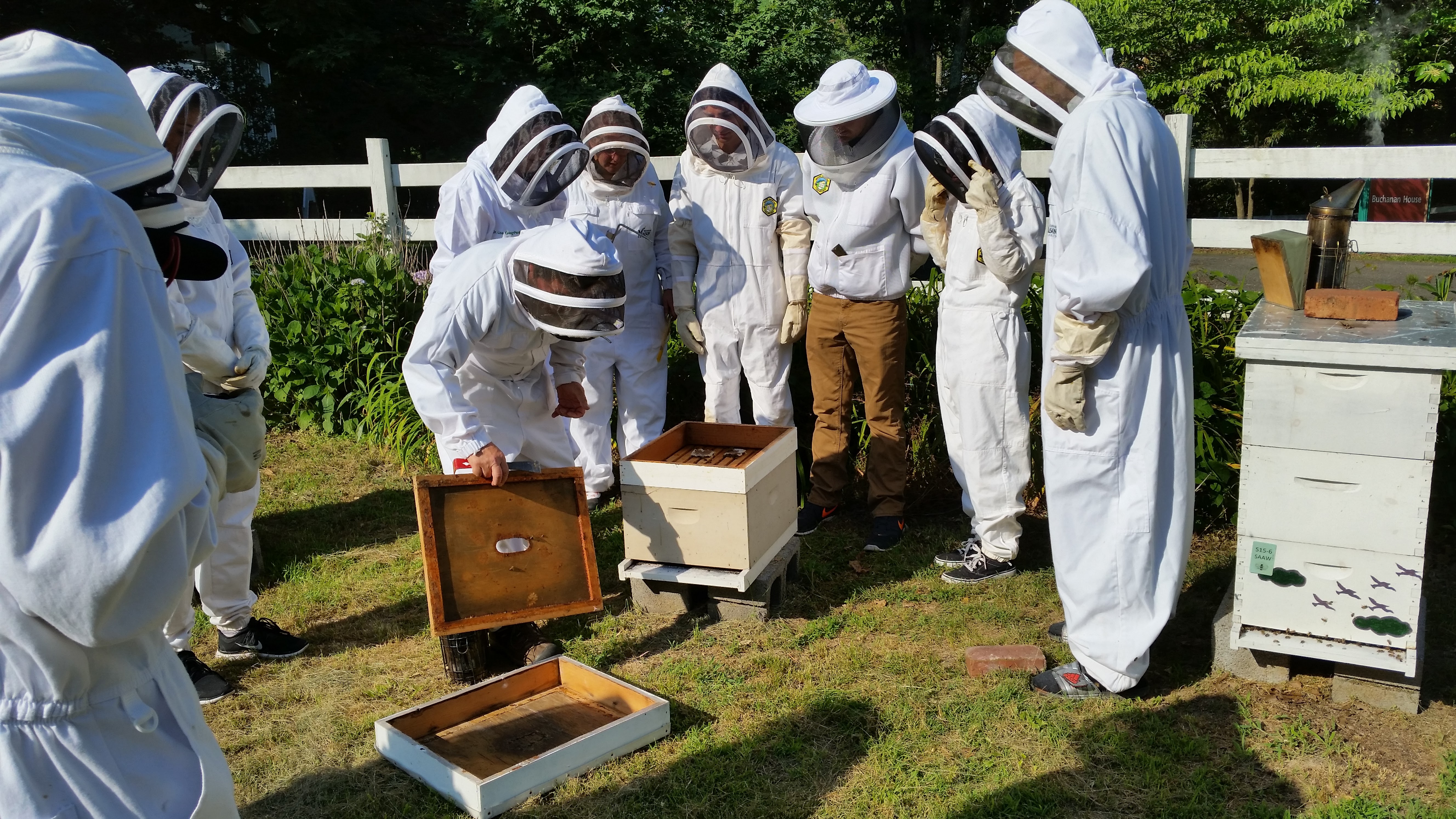 Grant for George Mason University Center Honey Bee Initiative