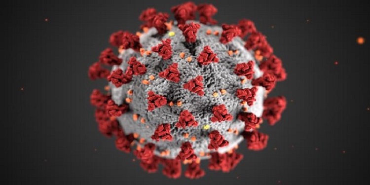 CDC Coronavirus image