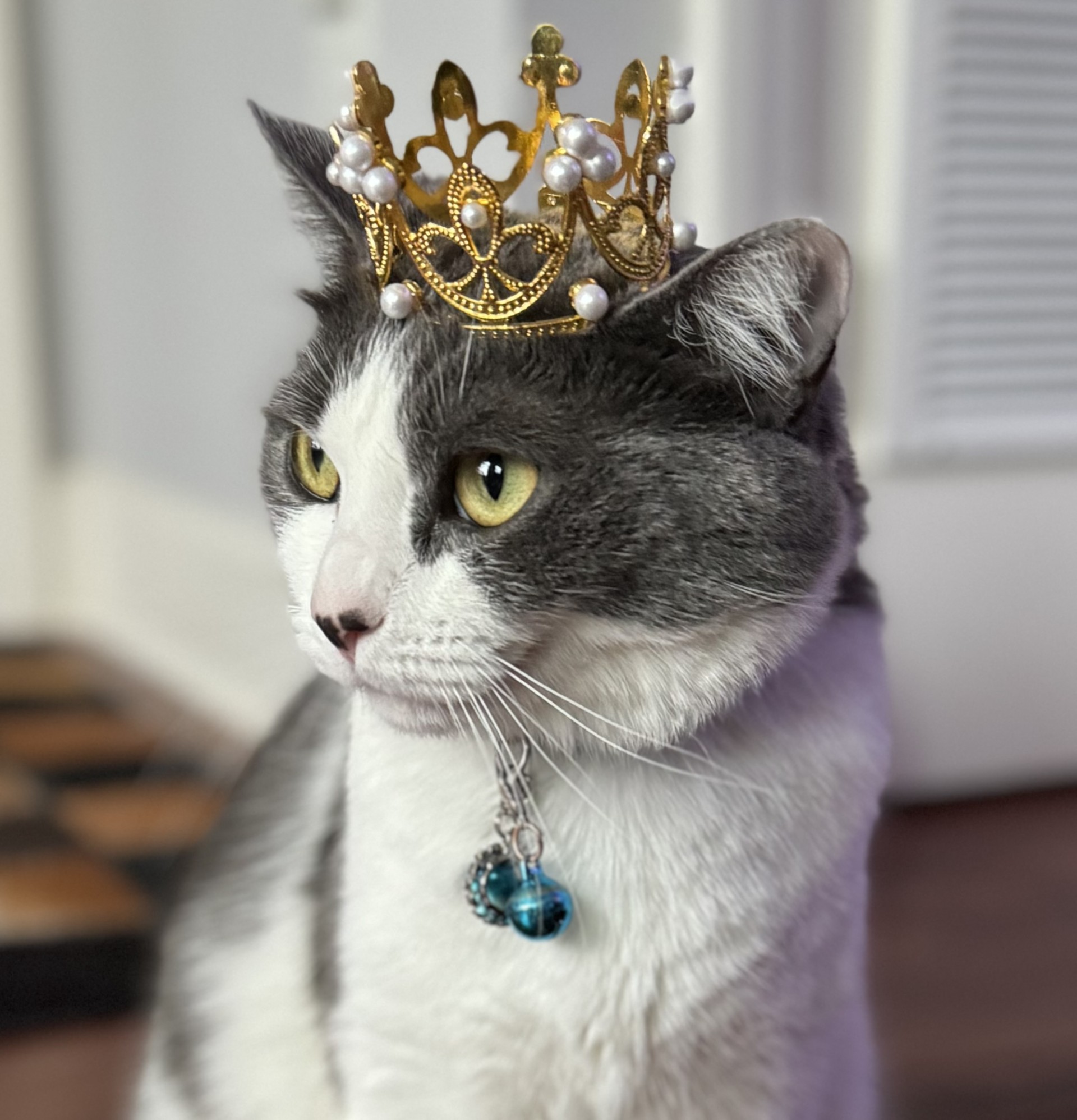 Princess Kona