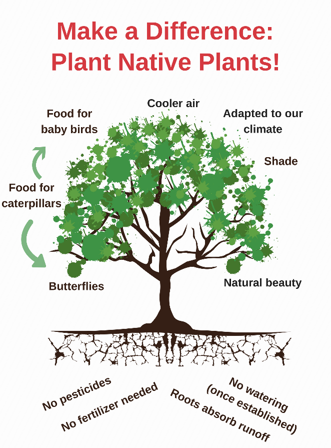 plant nova natives