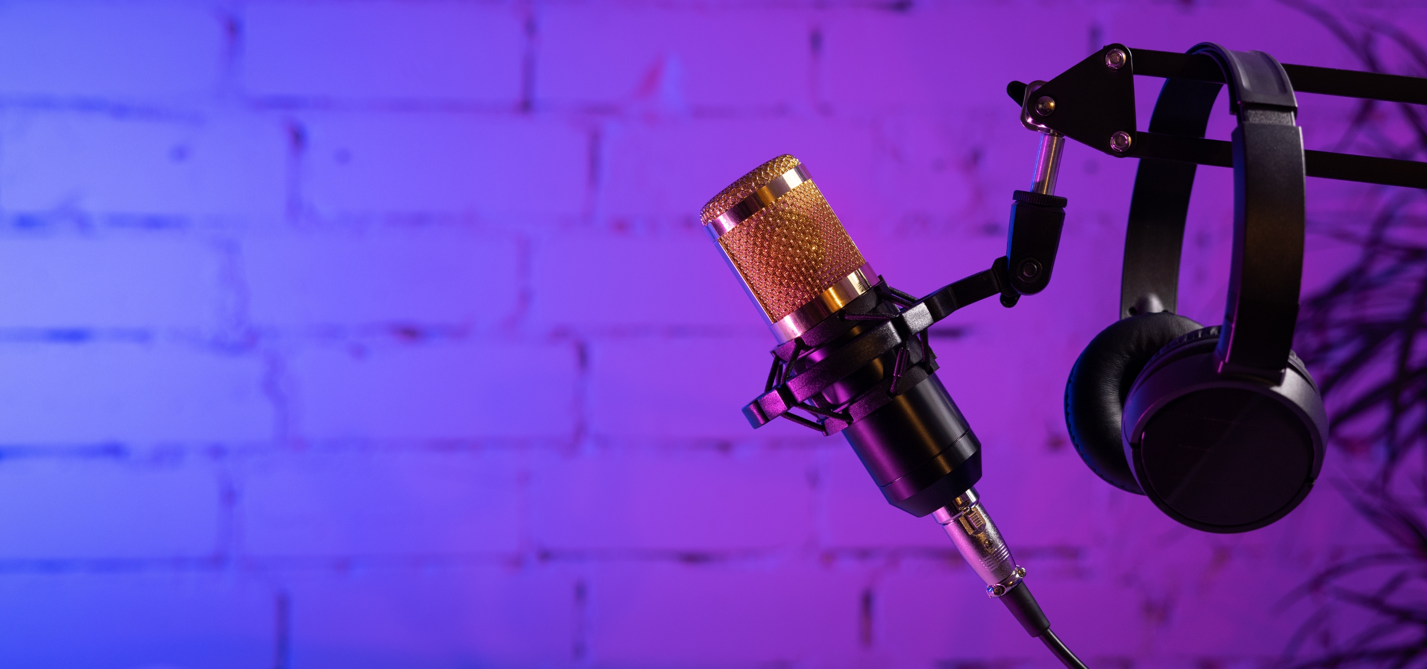 Amplifying Local Voices